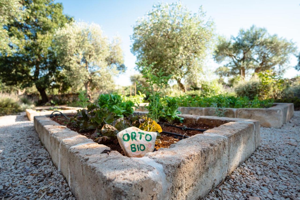 Vila Trulli Ad Maiora Alberobello Exteriér fotografie