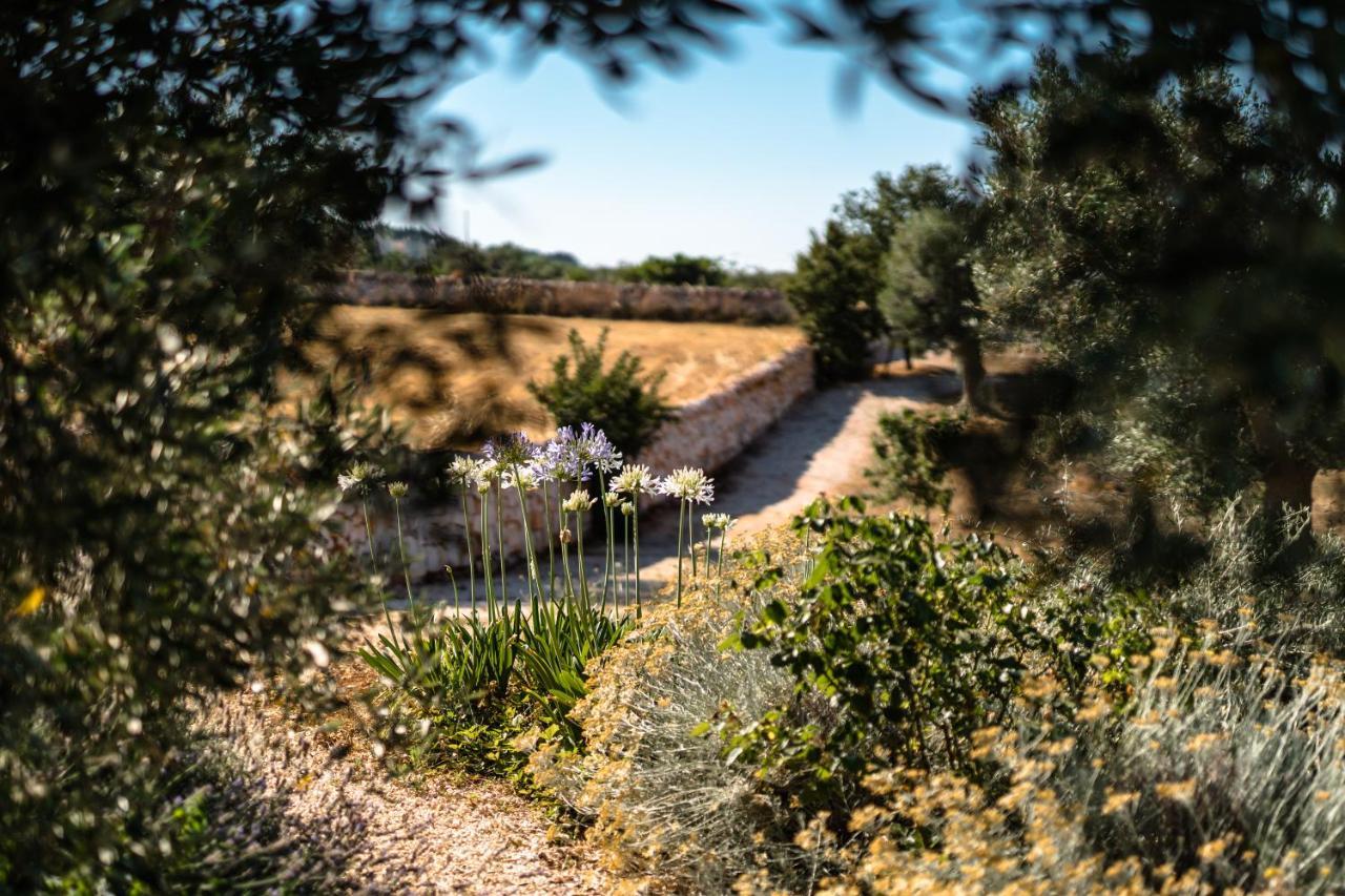 Vila Trulli Ad Maiora Alberobello Exteriér fotografie